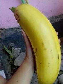 大香蕉亚洲国产,揭秘本土影视产业的崛起之路